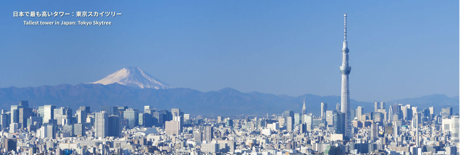 日本記録：日本で最も高いタワー：東京スカイツリー