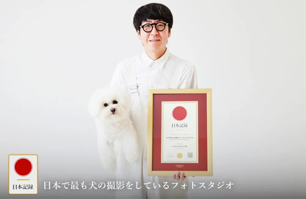 日本記録：日本で最も犬の撮影をしているフォトスタジオ