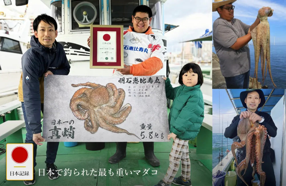 日本記録：日本で釣られた最も重いマダコ（真蛸）