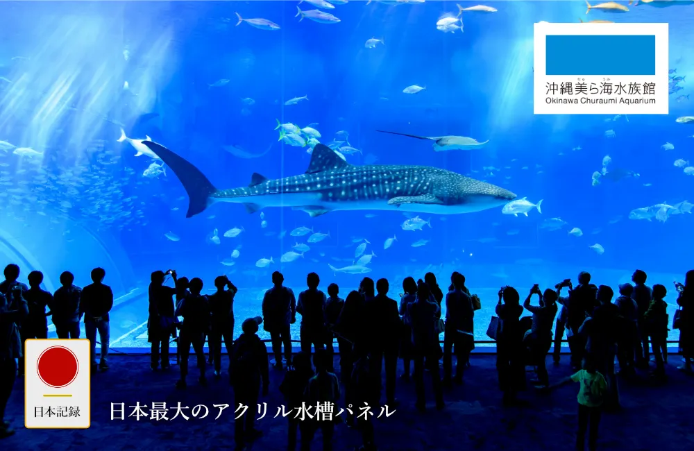 日本記録：日本最大のアクリル水槽パネル