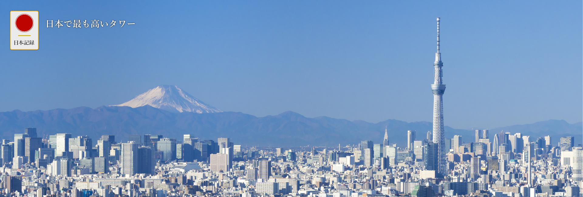 日本記録：日本で最も高いタワー：東京スカイツリー